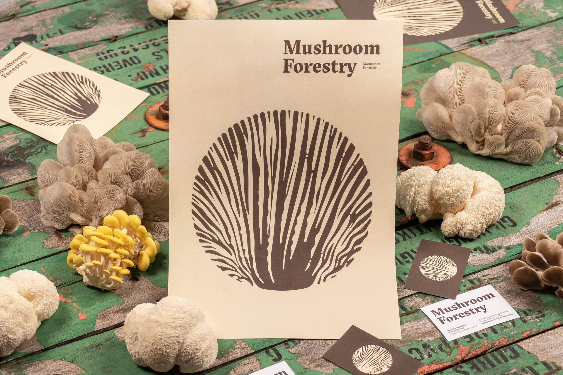 Flyer y stationary con la nueva identidad corporativa de Mushroom Forestry