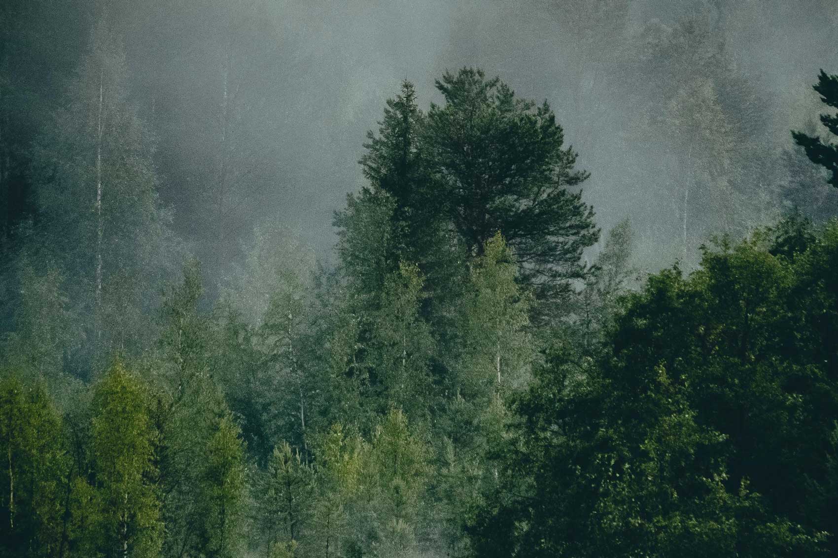 Paisaje Steam Folk, Branding Agencia Vibranding