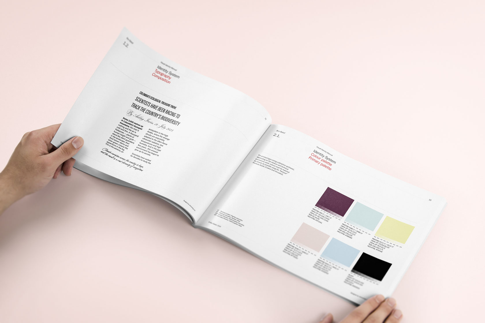 Brandbook de Bon Babef, ús correcte dels colors per respectar el branding. Vibranding.